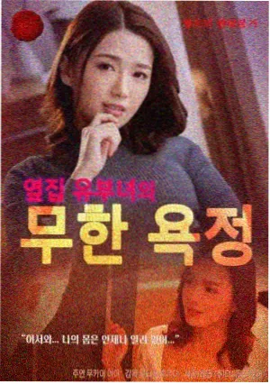 耽美作品解析：晴天与猫封面